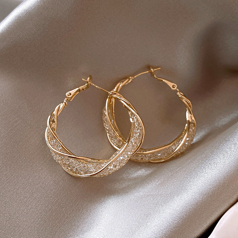 Big Reticulated Crystal Ear Hoop Round Earrings Simple Jewelry image 1